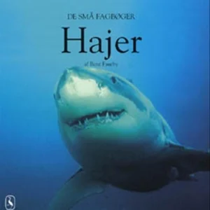 Hajer