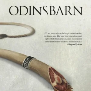 Odinsbarn. Ravneringene 1