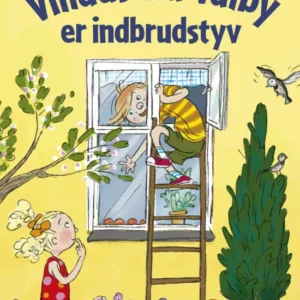 Villads fra Valby er indbrudstyv