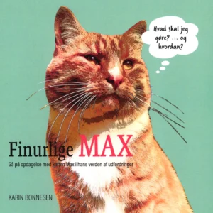 Finurlige MAX