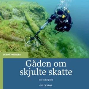 Gåden om skjulte skatte