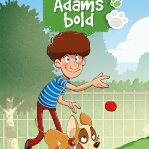 Adams bold
