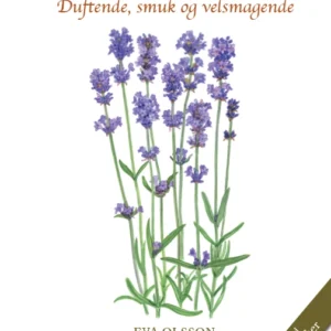 LAVENDEL
