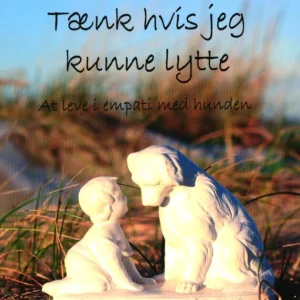 Tænk hvis jeg kunne lytte