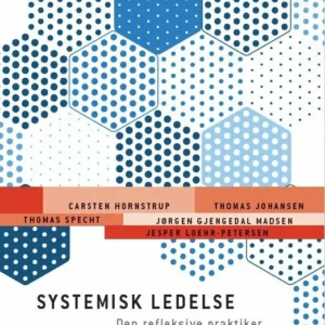 Systemisk ledelse - Den refleksive praktiker, 2. udgave