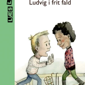 Ludvig i frit fald