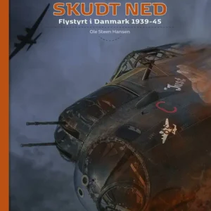 Skudt ned