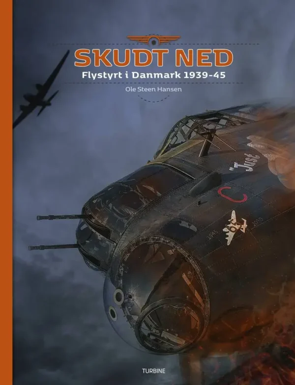 Skudt ned