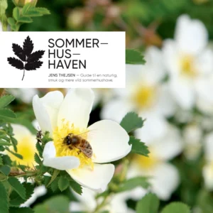 Sommerhushaven