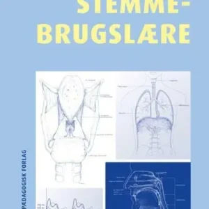 Stemmebrugslære