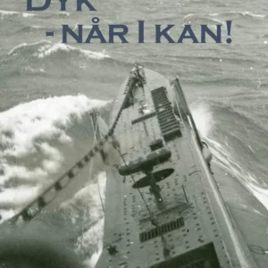 Dyk - Når I kan