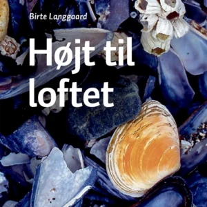 Højt til loftet