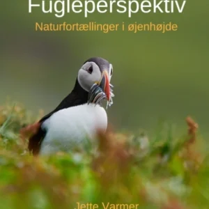 Fugleperspektiv