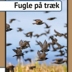 Fugle på træk