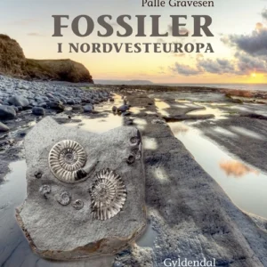 Fossiler i Nordvesteuropa
