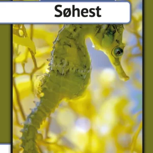 Søhest