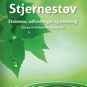 Stjernestøv