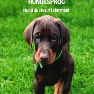 Hundesprog - Hund og hvalp i harmoni