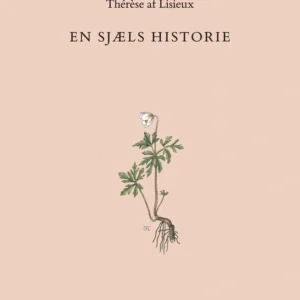 En Sjæls Historie