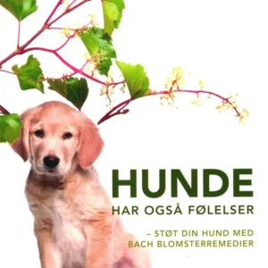 Hunde har også følelser