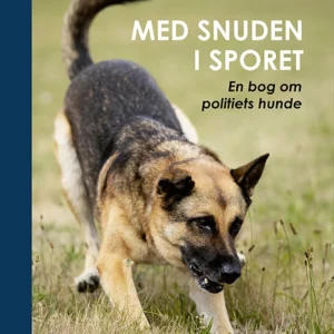 Med snuden i sporet