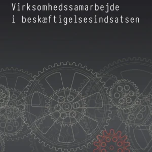 Virksomhedssamarbejde i beskæftigelsesindsatsen
