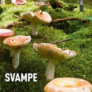 DANMARKS NATUR Svampe