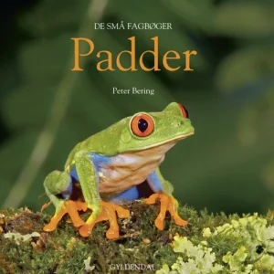 Padder