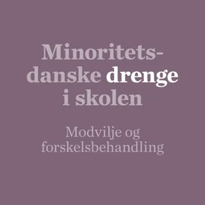 Minoritetsdanske drenge i skolen