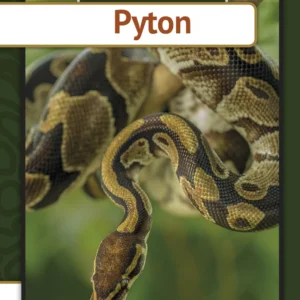 Pyton