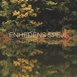 Enhedens Spejl