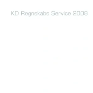 KD Regnskabs Service 2008