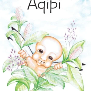 Aqipi - til sommerfest