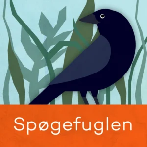 Spøgefuglen