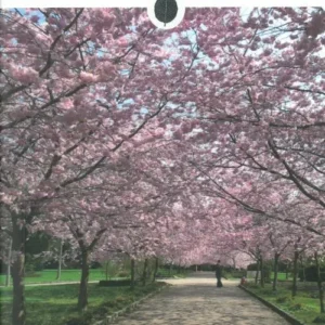 Secret Copenhagen: An Unusual Travel Guide