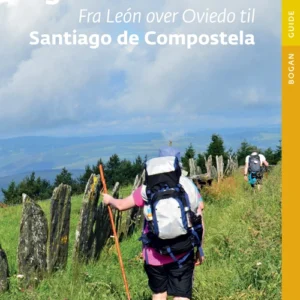 Pilgrimsvejene til El Primitivo og San Salvador