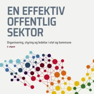 En effektiv offentlig sektor : organisering, styring og ledelse i stat og kommune