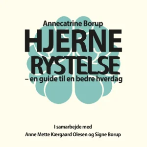 Hjernerystelse