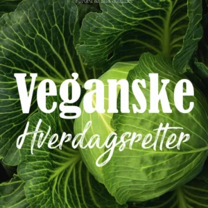 Veganske hverdagsretter
