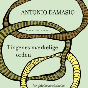 Tingenes mærkelige orden