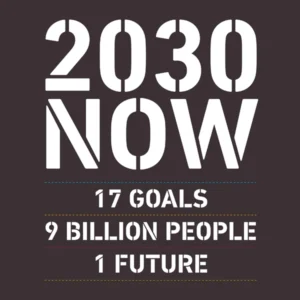 2030 NOW (UK)