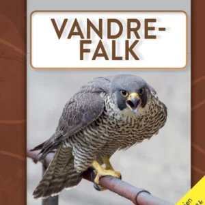 Vandre-falk