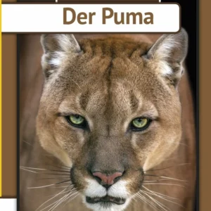 Der Puma