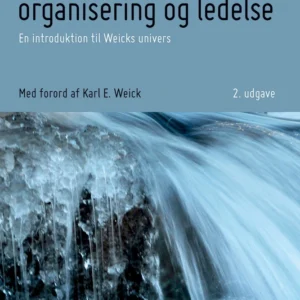 Meningsskabelse, organisering og ledelse