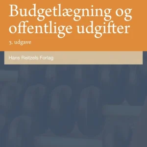 Budgetlægning og offentlige udgifter