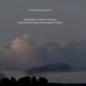 Tøndermarsken