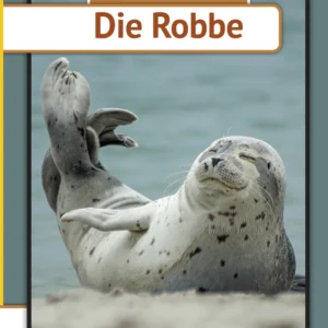 Die Robbe
