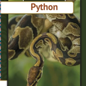 Python