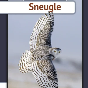 Sneugle