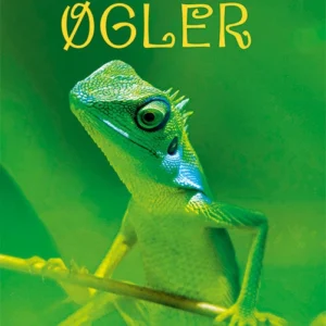 Små Fakta: Øgler
